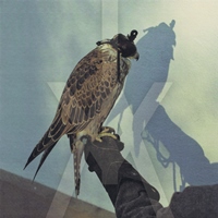Iceage